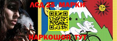 сатива Кандалакша