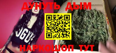 сатива Кандалакша