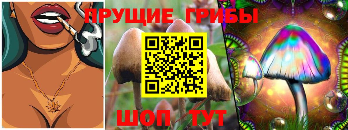 наркотики  Псилоцибиновые грибы Magic Shrooms  Вход с VPN  Тобольск 